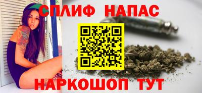 гашик Гусев