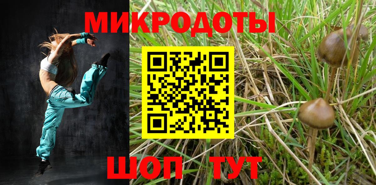 Псилоцибиновые грибы мицелий  Вход с VPN  Новодвинск 